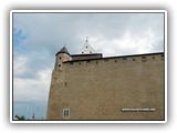 Narva.  (2008)