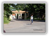 Enkelinsilta.  (2009)